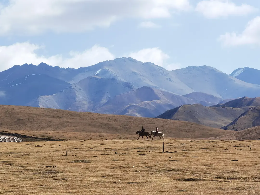 甘肅敦煌逐西教您婚車租賃公司選擇及婚車租賃如何節(jié)約成本？