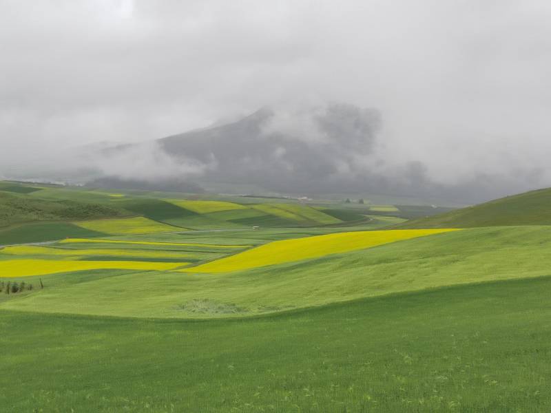 敦煌租車商務(wù)接待租車時(shí)要注意什么？