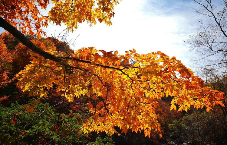 女性敦煌租車出行時(shí)要注意什么？