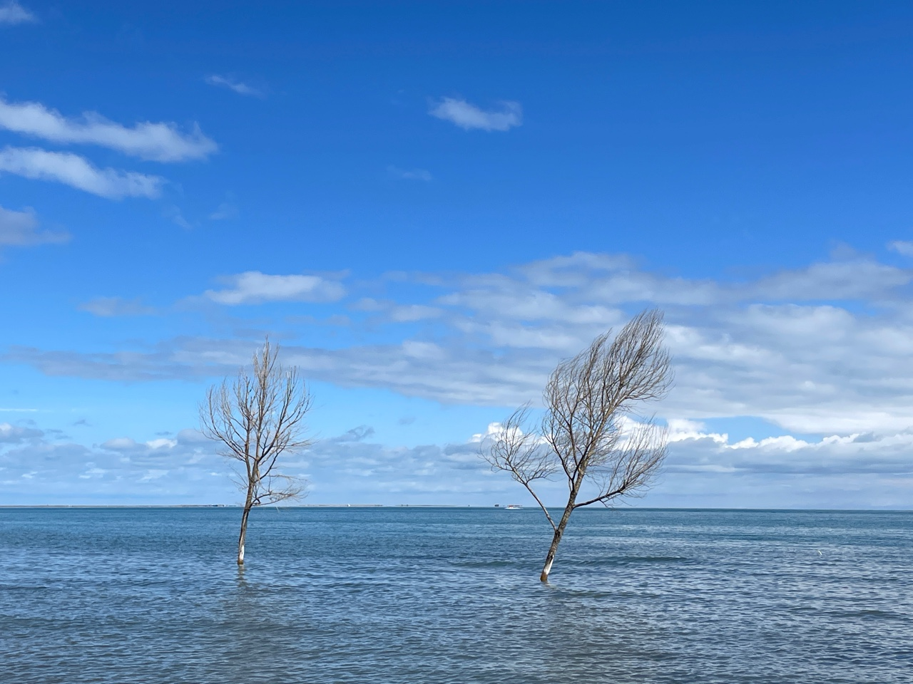 哪個(gè)是好的敦煌租車平臺(tái)？