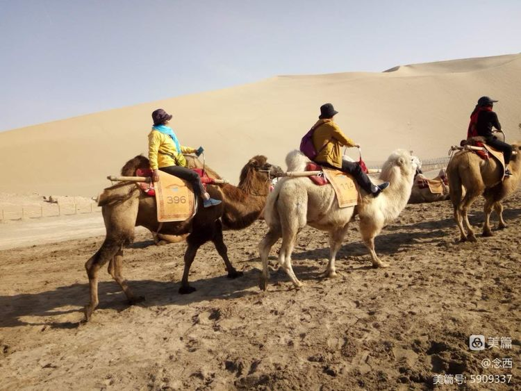 敦煌租車(chē)新手租車(chē)后，你如何知道租車(chē)費(fèi)用的清晰清單？