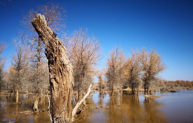 敦煌租車(chē)公司對(duì)租車(chē)時(shí)建議及一些注意事項(xiàng)？