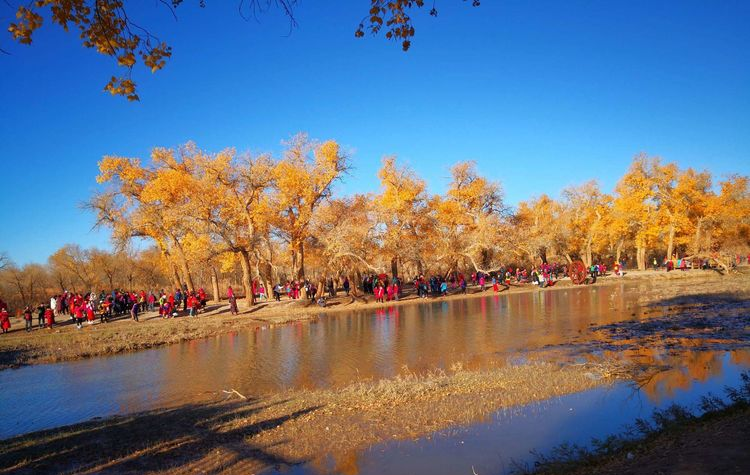 敦煌租車(chē)多少錢(qián)一天？