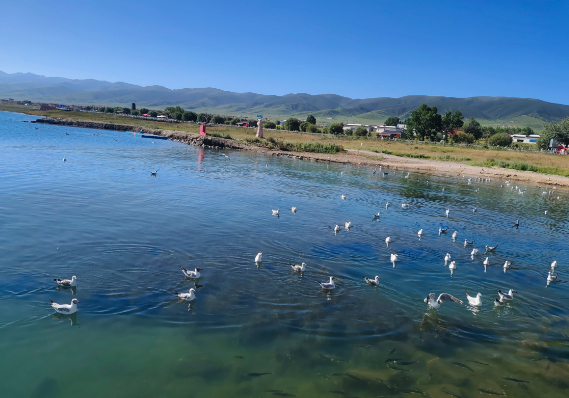 敦煌包車租車告訴你幾個(gè)常見的租車誤區(qū)