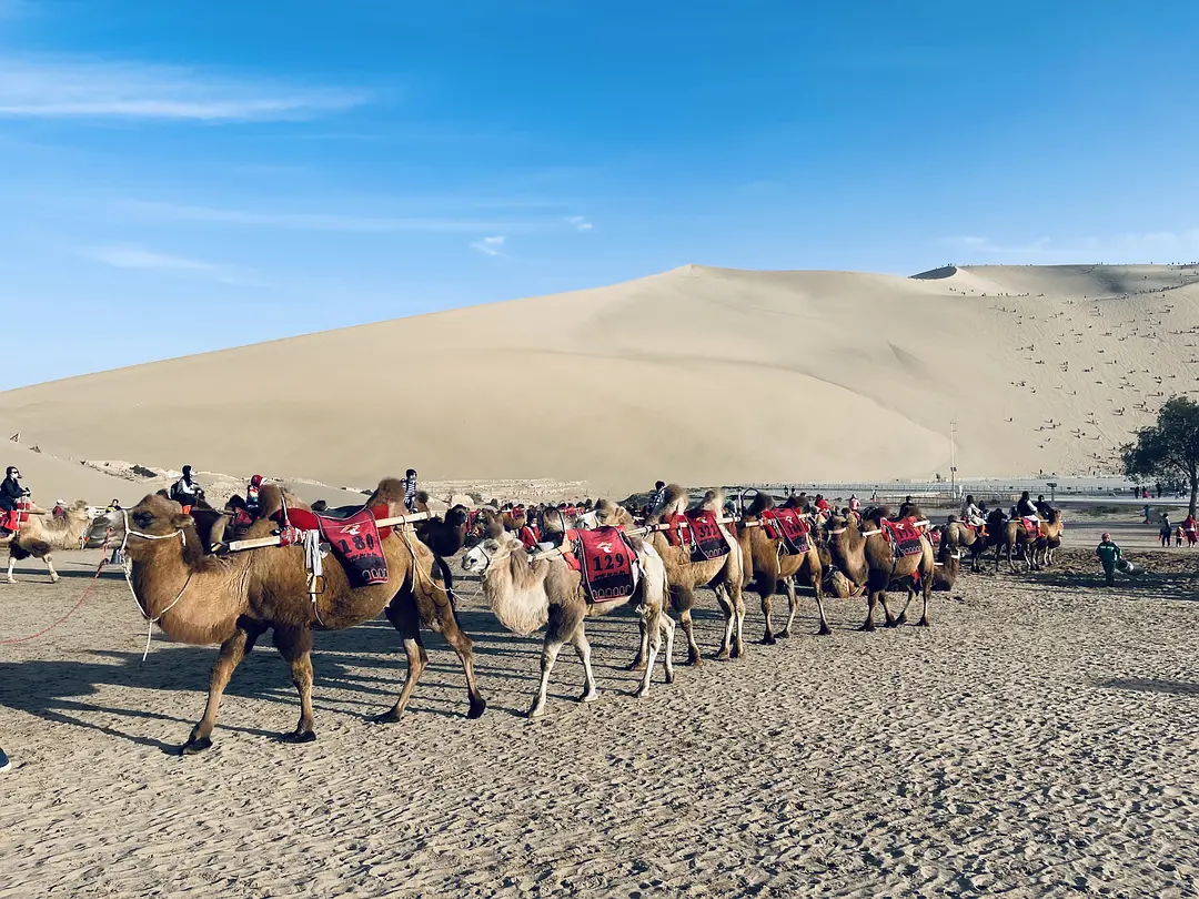 敦煌逐西租車公司：租車注意事項?