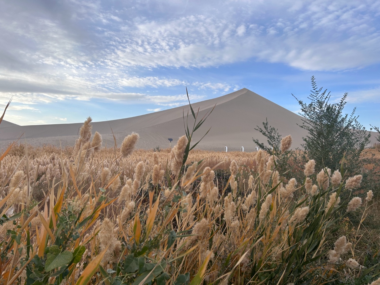 敦煌旅游租車(chē)攻略大全