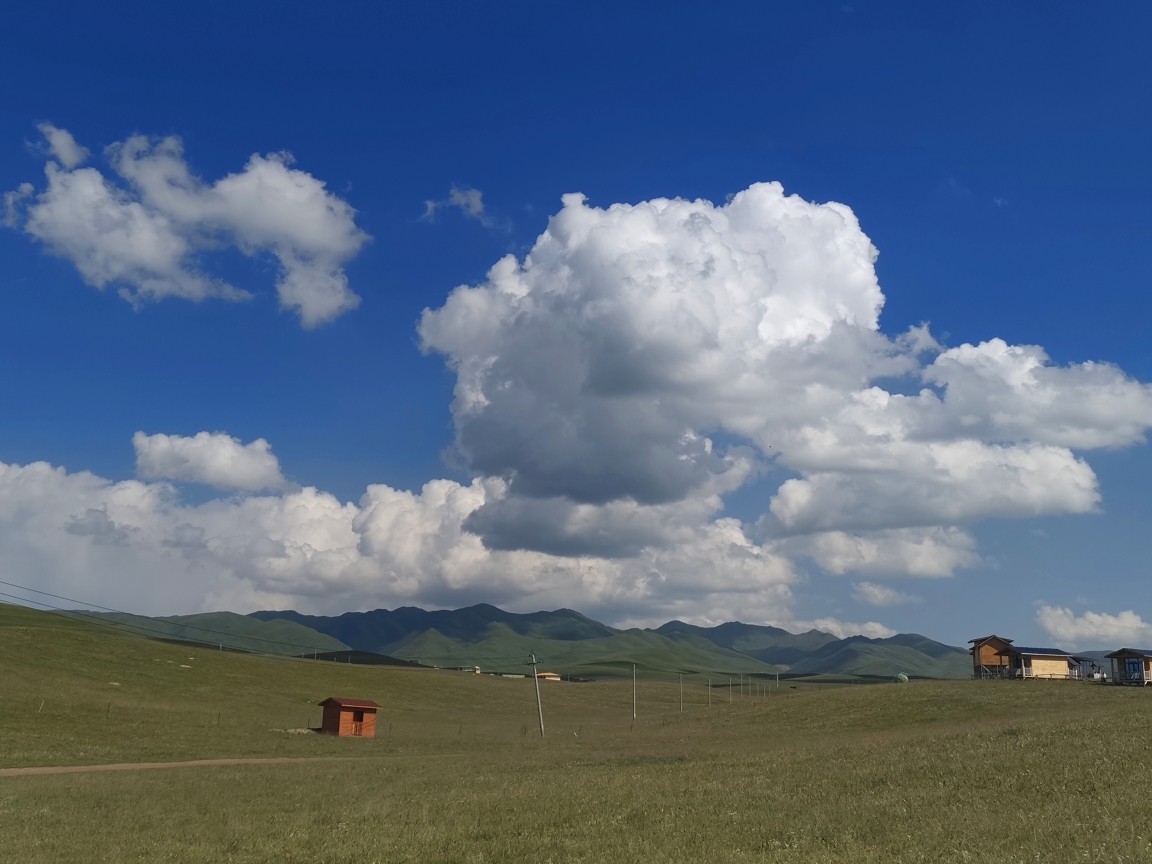 甘肅租車公司租車需要什么流程，推薦甘肅逐西租車公司