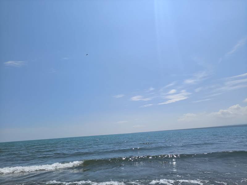 甘肅包車公司帶您玩轉(zhuǎn)中心城市