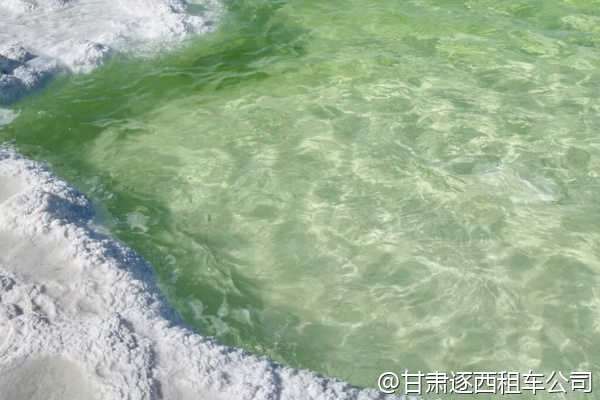 我們想包車去山丹軍馬場，能體驗(yàn)騎馬嗎？  