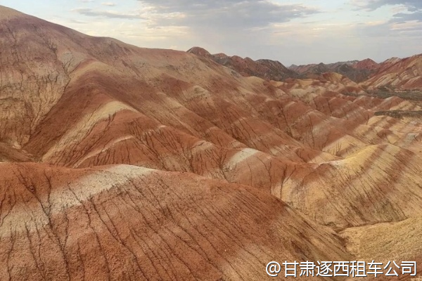 我們想包車去肅南裕固族村落，司機了解當(dāng)?shù)亓?xí)俗嗎？  