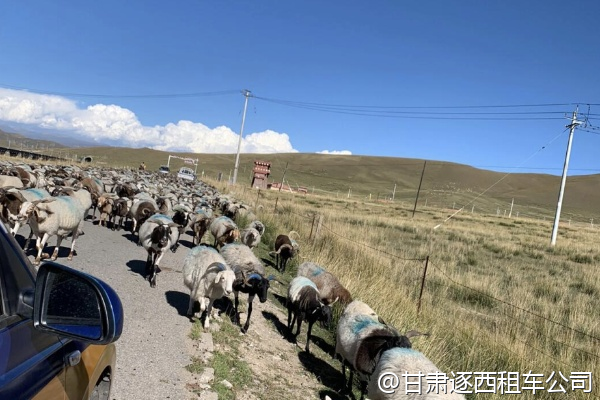 蘭州到迭部扎尕那，包車(chē)路上有休息站嗎？  